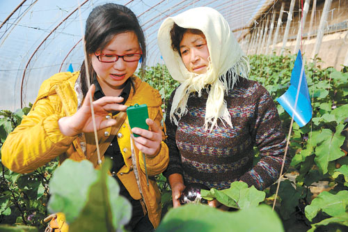 宁夏人口成分_宁夏回族人口分布