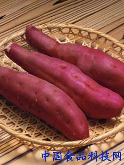掉脂肪最快的菜 11021390_319493.jpg