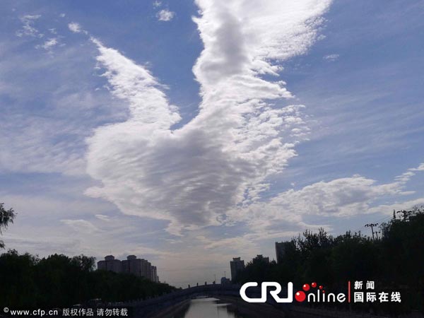 什么样的天空飘着什么云朵 11066232_988460.jpg