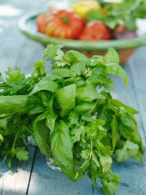 芹菜减肥餐 3天抹平小肚子-芹菜|减肥-每日甘肃