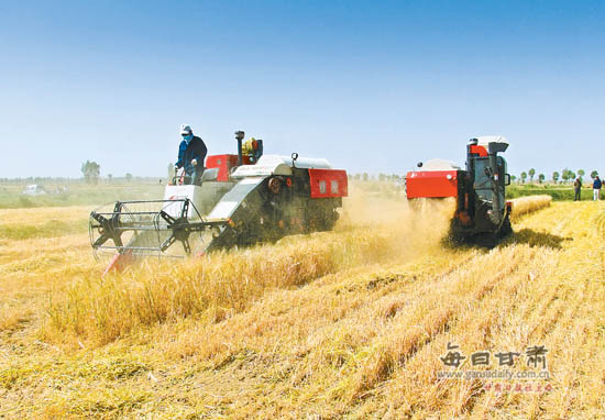 民乐县成立联合收割组 确保粮食颗粒归仓(图)