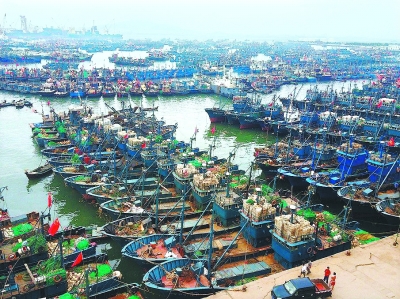 受台风布拉万影响威海渔船归港避风-台风|布