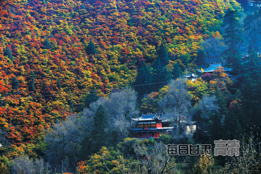 【高清组图】金秋兴隆山