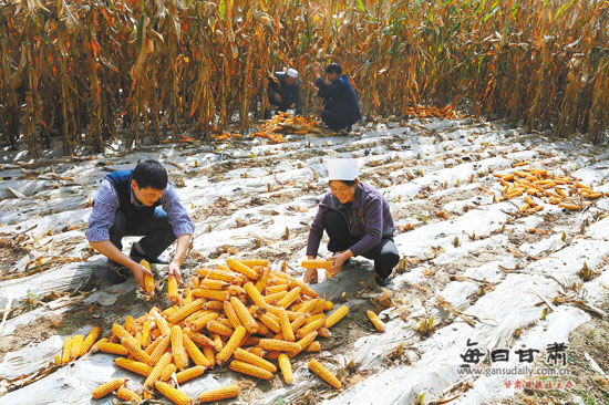 643456735_当前位置:甘肃省广河县 - 甘肃省广河县