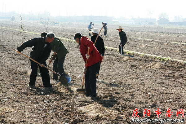 肖咀人口_肖咀村logo(2)