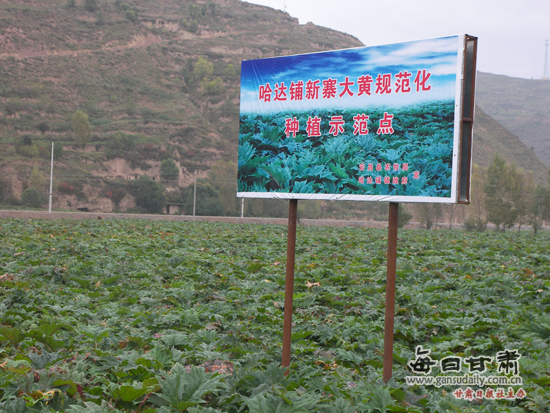 宕昌县gdp_八力草原 图片百科