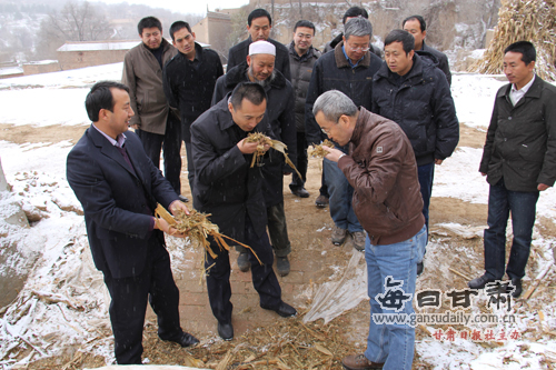  甘肃农业大学 党委书记 王蒂 副校长潘峰赴广河县