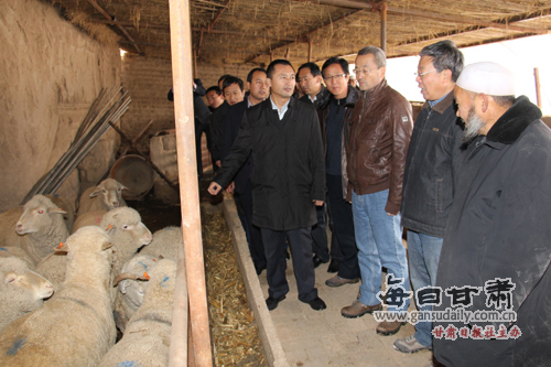  甘肃农业大学 党委书记 王蒂 副校长潘峰赴广河县