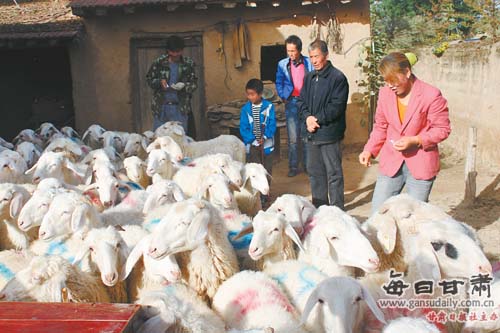 2020年富民县GDP_2020-2021跨年图片