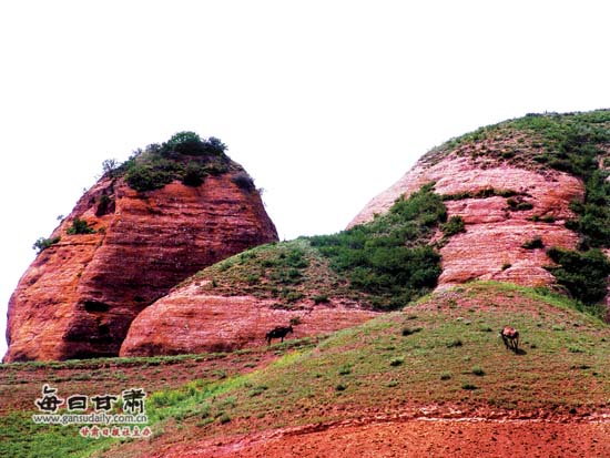【西部地理】西吉火石寨:黄土高原独特的丹霞
