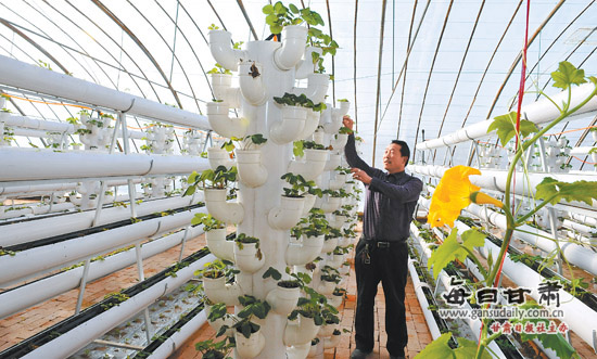 甘州区长安乡加快推广现代高效设施农业