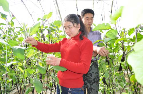每日甘肃网-酒泉市-肃北县