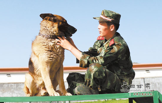 与警犬亲密交流.本报记者马国顺