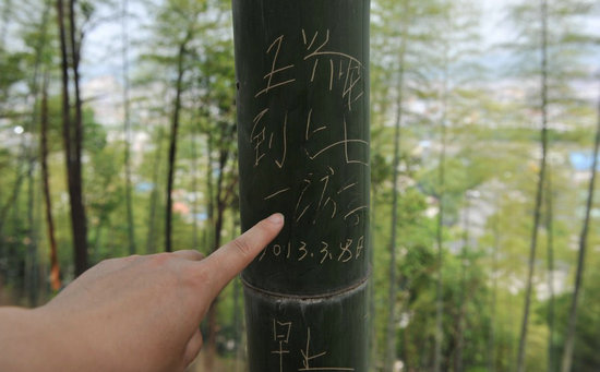 景区内的中国式"到此一游"(一)