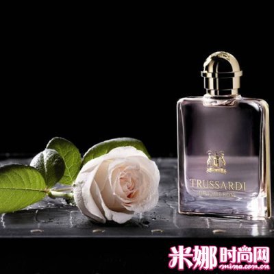 登录查看大图