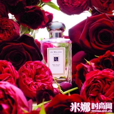登录查看大图