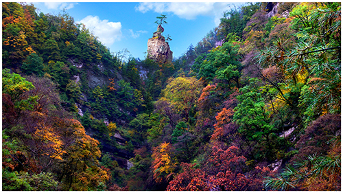 平凉市华亭县莲花台风景名胜区