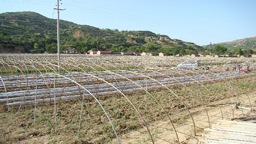 天水市张家川县龙山镇