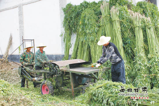 【西部地理】天水麻鞋:追忆农业文明的美好时光-西部地理-每日甘肃-甘肃