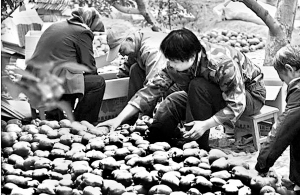 尼泊尔多大面积和人口_尼泊尔硬币币值和图片(2)