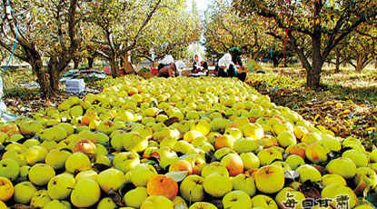 每日甘肃网10月22日甘肃热点新闻回顾(图)-回