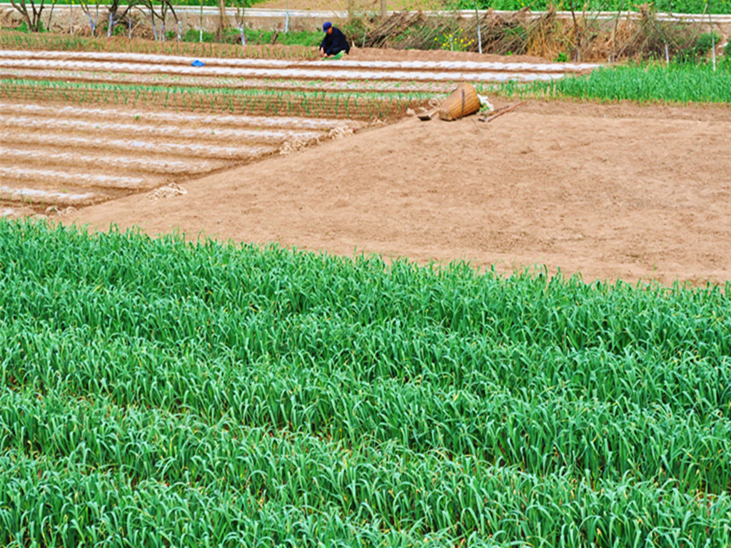 康县加大科技扶贫力度 积极调整农业产业结构