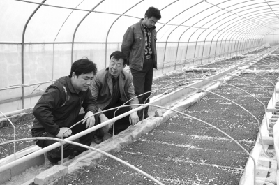 徽县各级党员干部帮助群众解决生产生活难题-