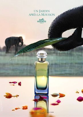 六款<em>香水</em> 唤醒你的<em>激情</em>-<em>香水</em>-每日甘肃-<em>女性</em>