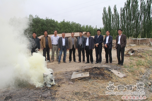 白龙江林业管理局领导视察祁连酒业公司防霜冻