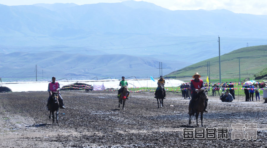 天祝县打柴沟镇别样的赛马会