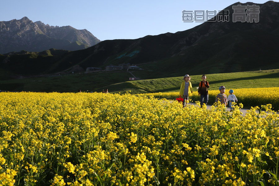 张掖有多少人口_中国 张掖 春满丹霞口 万人闹元宵(2)