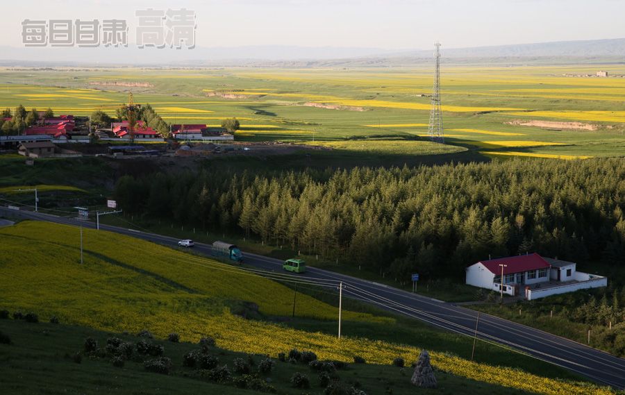 7月14日拍摄的张掖民乐扁都口万亩油菜花盛开美景。通讯员王将摄 每日甘肃网讯(通讯员王将)进入7月以来,张掖民乐扁都口近十万亩油菜花盛开,滚滚金浪铺天盖地,涌满山坡,缀遍原野,高低起伏,绵延无穷,壮观无比。 甘肃张掖民乐县扁都口油菜花景观堪称“天下第一油菜花”,2013年被农业部乡镇企业局评为“中国美丽田园”。每年七八月份,近十万亩油菜花竞相绽放,金色的菜田与蓝天白云相互映衬,构成美丽画卷。 本篇新闻热门关键词: