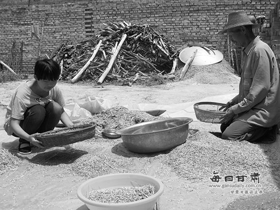 自幼父母双亡 秦安学子桑文丽逆境中刻苦求学