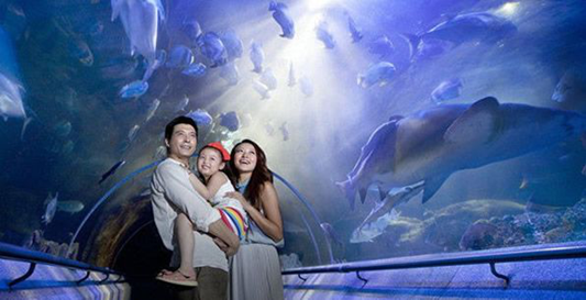 海洋梦想大礼,大连圣亚海洋世界邀您免费体验,欢乐一夏!