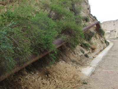 兰州:荒山变成香饽饽承包合同为70年村民变