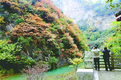 成县西狭颂景区深秋时节层林尽染