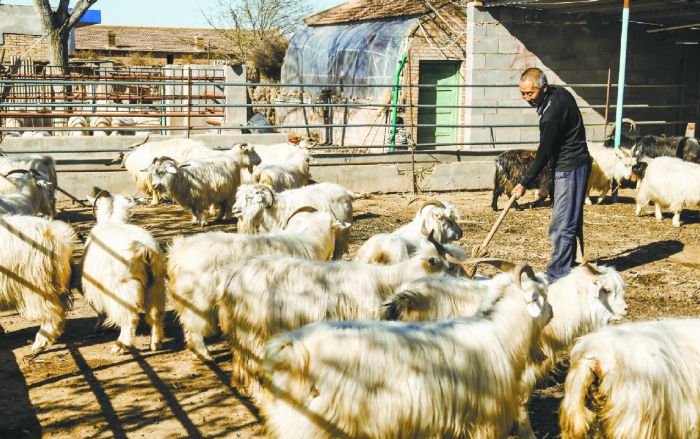 农民种地图片_种地一年收入(3)