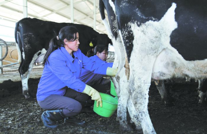 农民种地图片_种地一年收入(3)