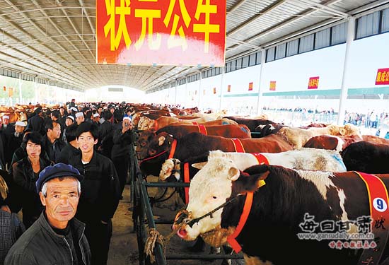 康乐县的马热苏力_康乐县人均收入(3)