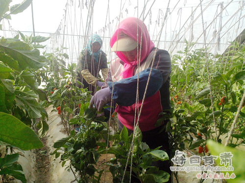 平面构成_农民现代的收入构成(2)