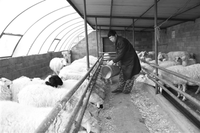 华西村人均收入_甘肃人均纯收入(3)