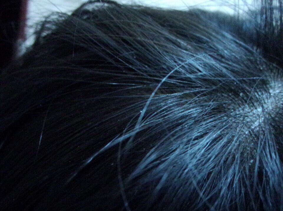 12010294_545936.jpg