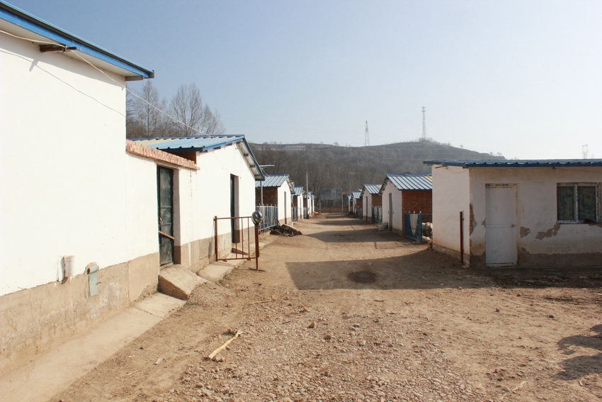 养殖业专用发电机_工作收入证明模板图片_养殖业发展壮大收入