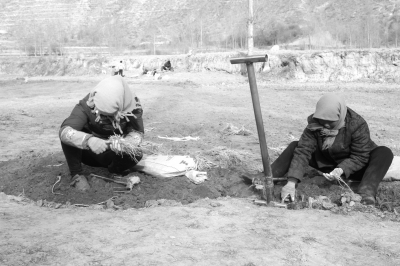 甘肃理川总人口_甘肃陇南暴雨灾害死亡人数增至36人(3)