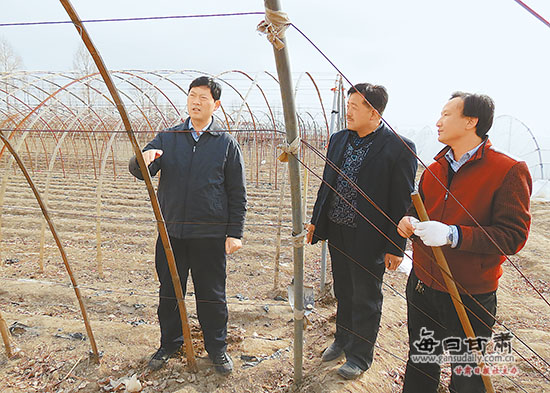 金昌:双联扶贫深度融合 同向发力精准帮扶