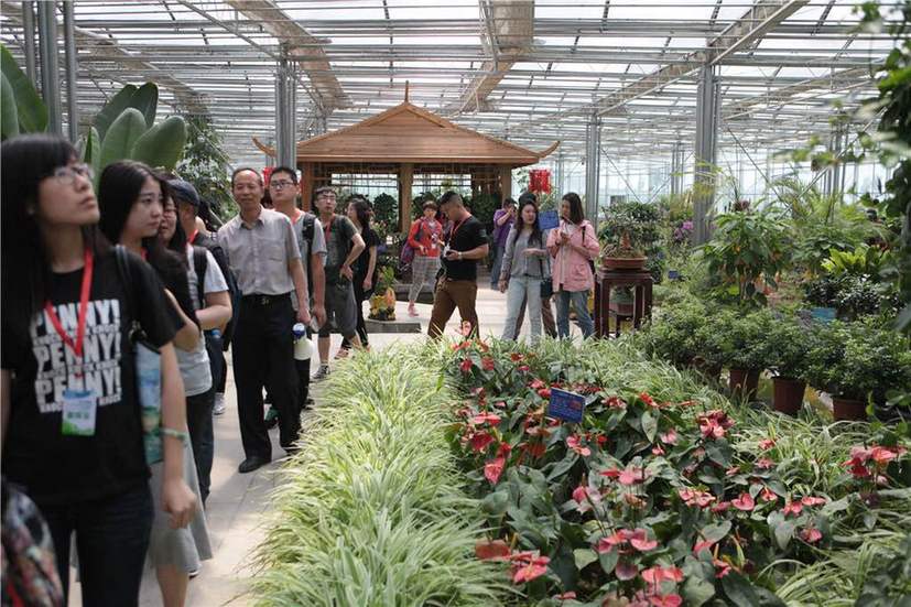 全国网媒记者走进呼和浩特现代化农业示范园-