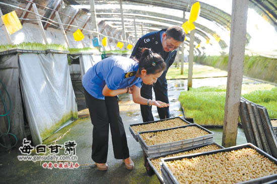 甘肃省食品药品安全网