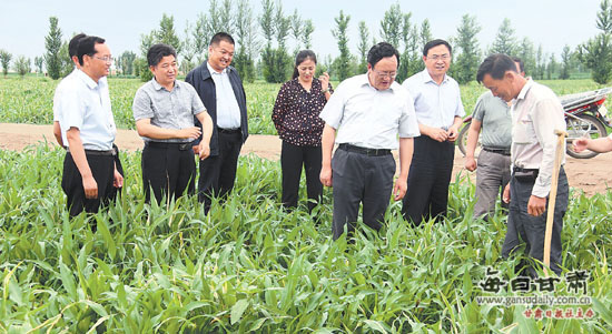 武威市委主要领导和市纪委领导深入民勤县农村进行调查研究.