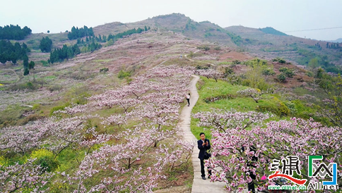 皆为参加仁寿县文宫镇盛大开幕的桃花文化旅游节,一睹漫山桃花美景