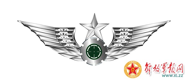 揭秘解放军15式系列臂章胸标-臂章